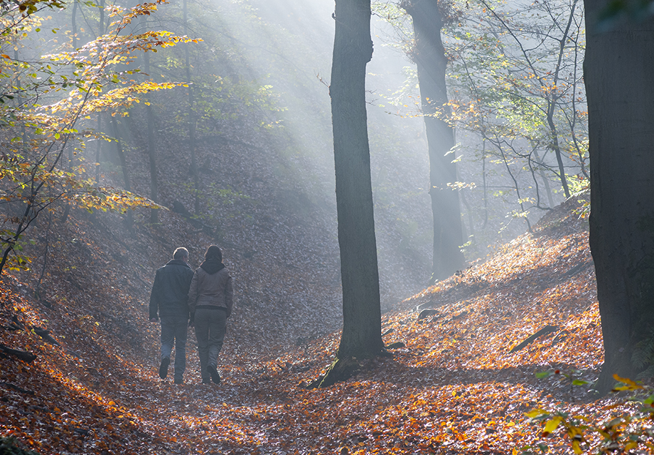 Schouder aanschouder wandelend in de herfst FrT_4353_15688