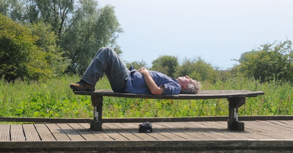 Wat doet wandelcoaching met je…?